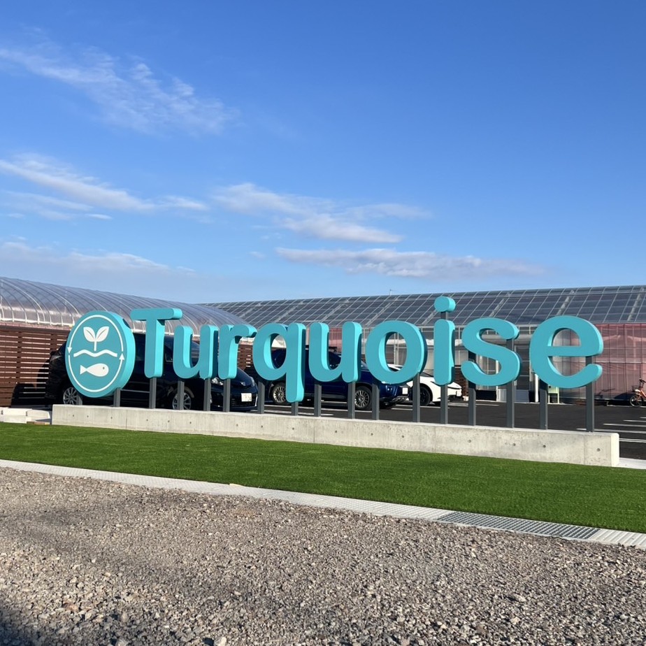 株式会社 Turquoise